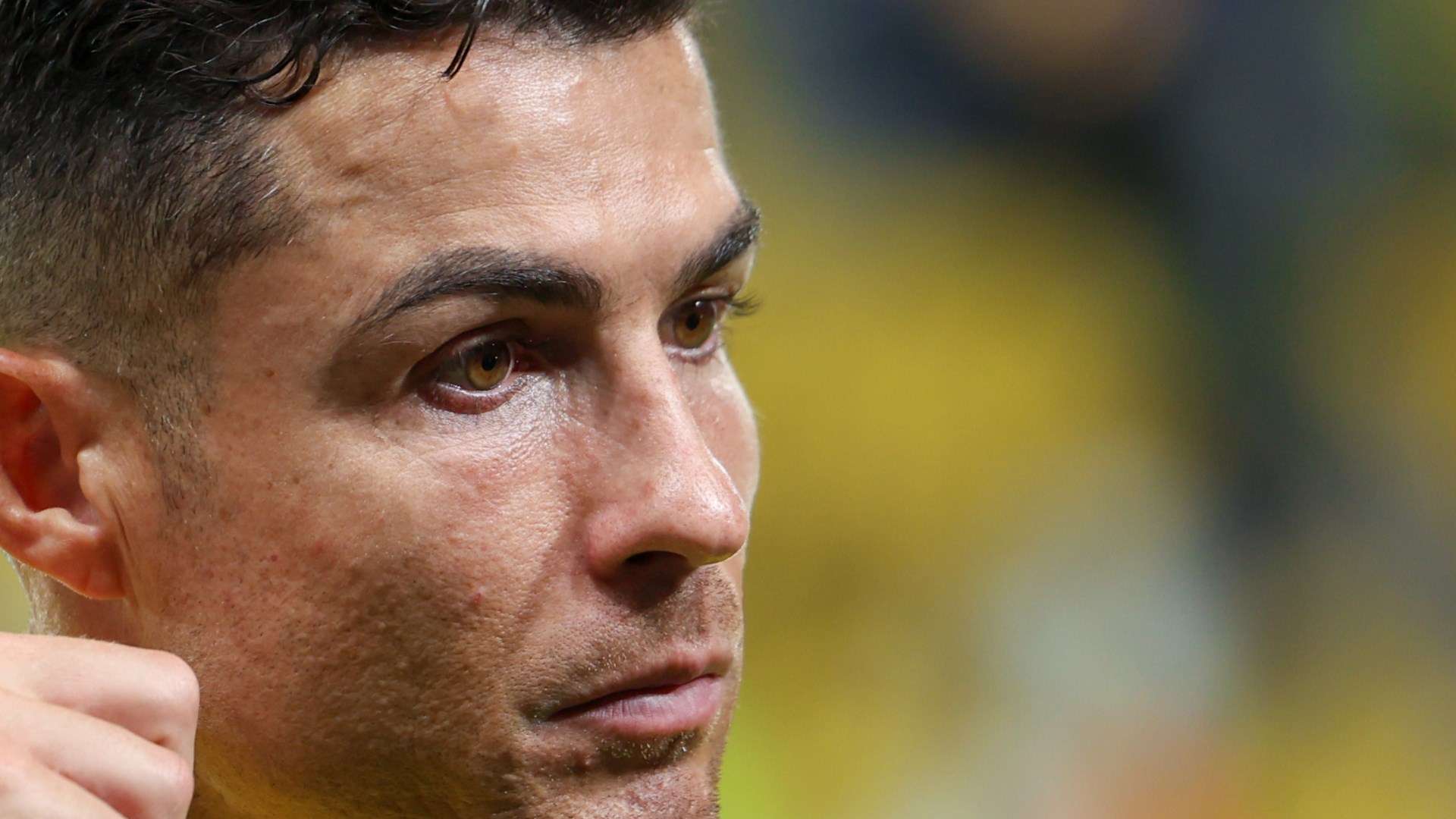 很大比重 很大比重