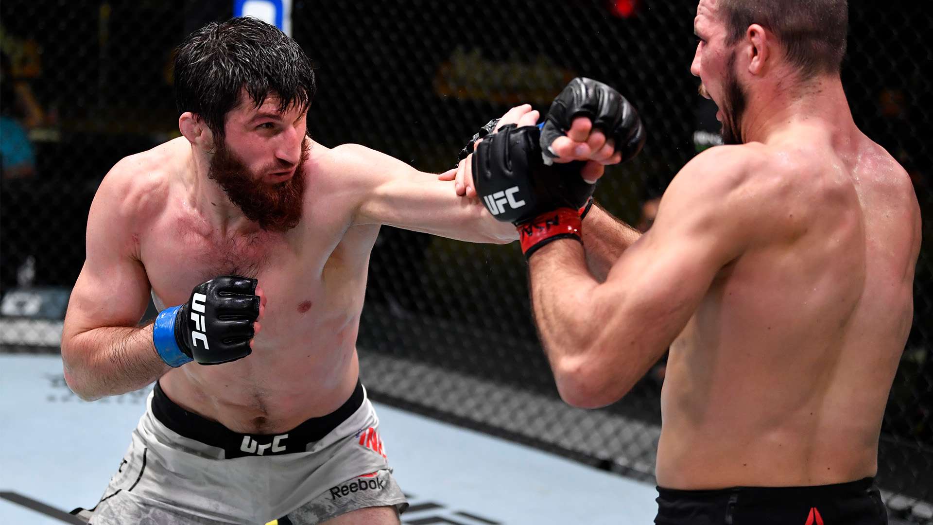 来的后果 来的后果